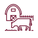 Cattle grazing next to barn icon