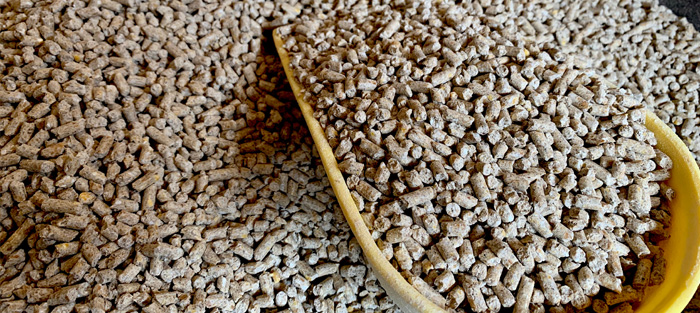 A close up of feed pellets and a yellow scoop